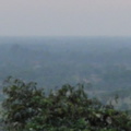 DSC04225